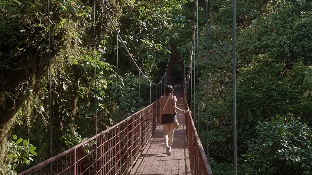 Tilting down shot revealing a young woman walking on the red suspension bridge in Monteverde Cloud Forest Reserve. The bridge stretches through lush green foliage in a cloud forest on a sunny day