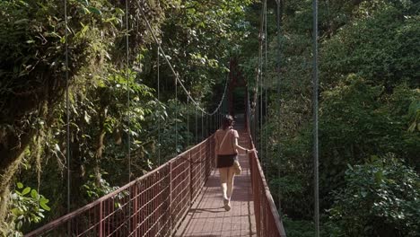 tilting down shot revealing a young woman walking on the red suspension bridge in monteverde cloud forest reserve. the bridge stretches through lush green foliage in a cloud forest on a sunny day