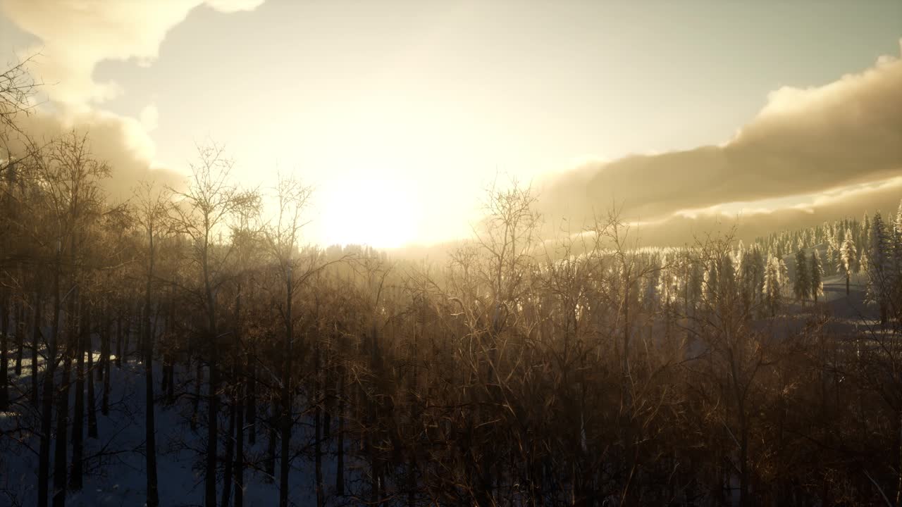 ⁇ 빛에 빛나는 웅장한 겨울 풍경