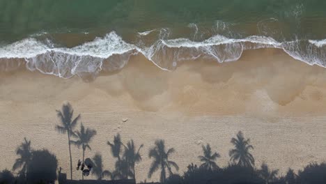 Sombras-De-Palmeras-De-Coco-En-La-Arena-De-La-Playa,-Hermoso-Mar-Verde