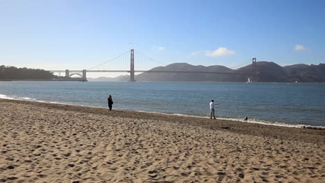 Woman-walking-along-the-shore-in-Crissy-Field-as-an-watches-his-dog