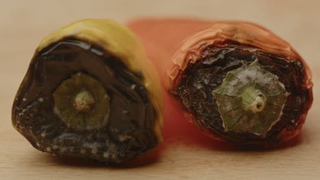 tilt up of fungus growing on rotten vegetable bell pepper