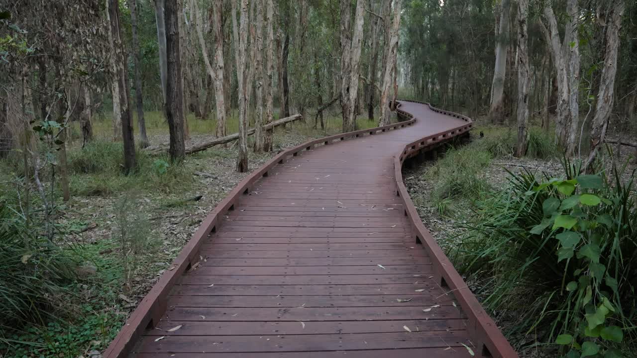 ⁇ 드헬드 와이드  ⁇  멜라레우카 보드워크 트레일,  ⁇ 바바 호수 보호 공원, 골드 코스트,  ⁇ 즈랜드