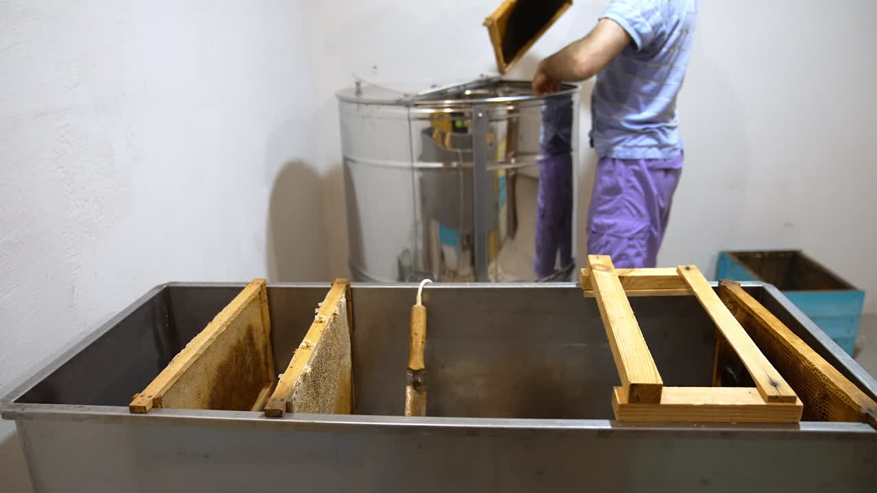 Man takes honey frames out of big box and puts them into centrifuge. Preparation process for pumping honey out.