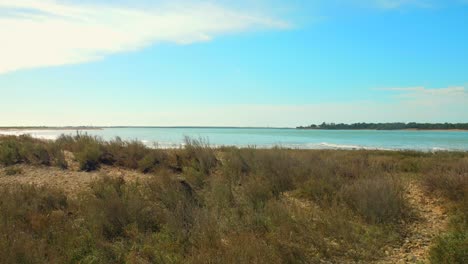 Ile-De-Ré,-Küstenparadies,-Atlantikküste,-Frankreich