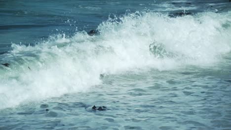 balsa de pingüinos africanos en la playa de rocas con olas salpicando