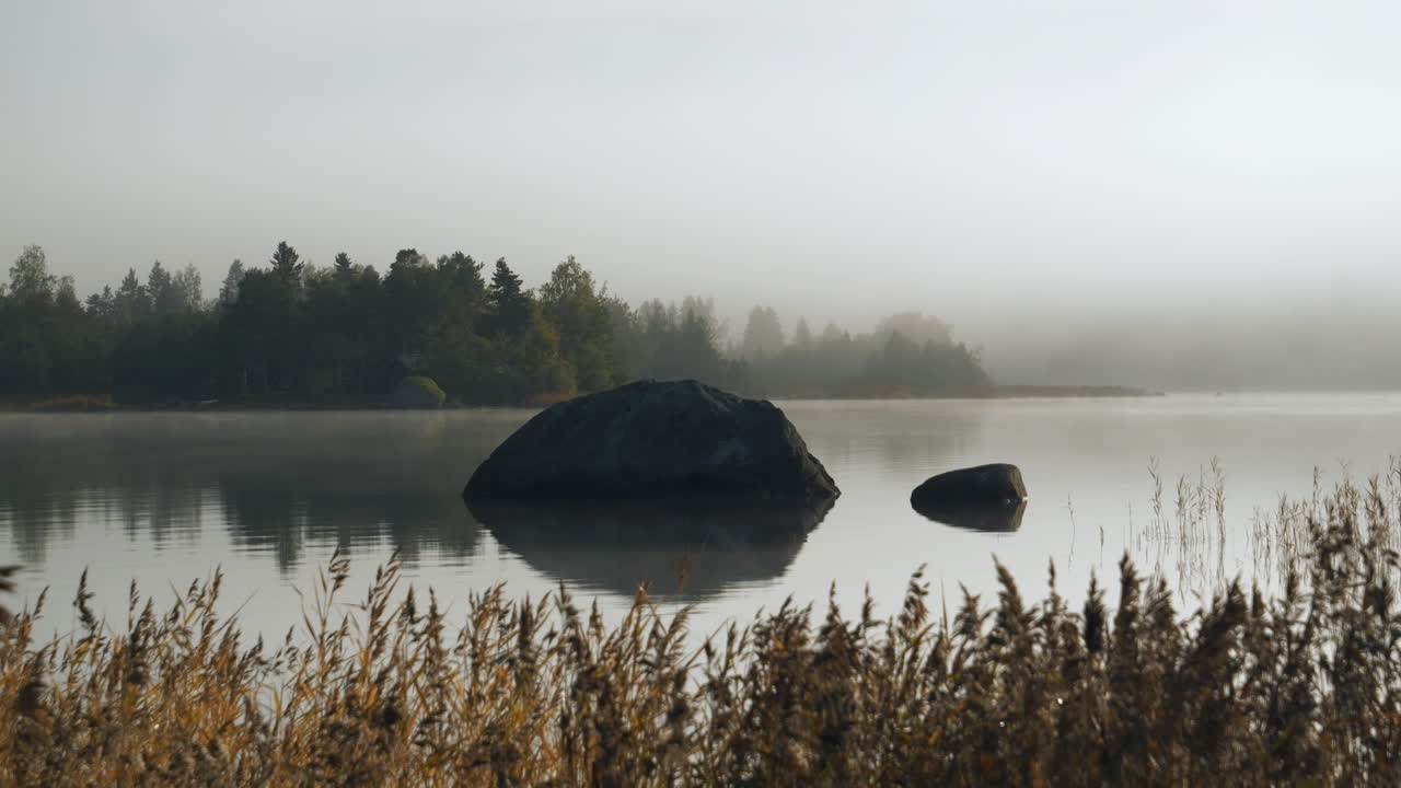 다채로운 가을 잎과 마법의 안개 자연을 배경으로, 모션 뷰