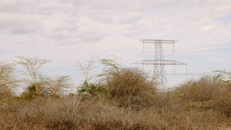 electricity pylons and power lines