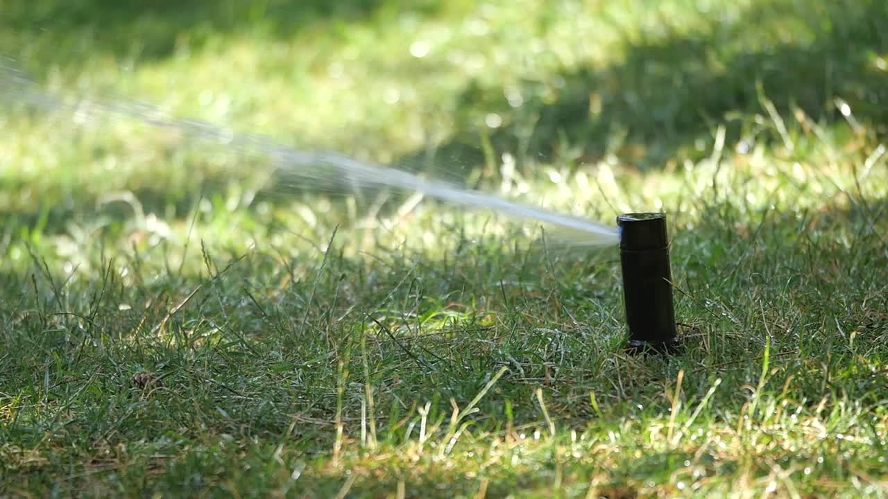 Sprinkler Watering a Green Lawn