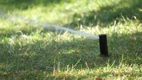 sprinkler watering a green lawn