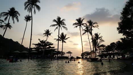 timelapse---Beautiful-Silhouette-swimming-pool-in-hotel-pool-resort-with-coconut-palm-tree
