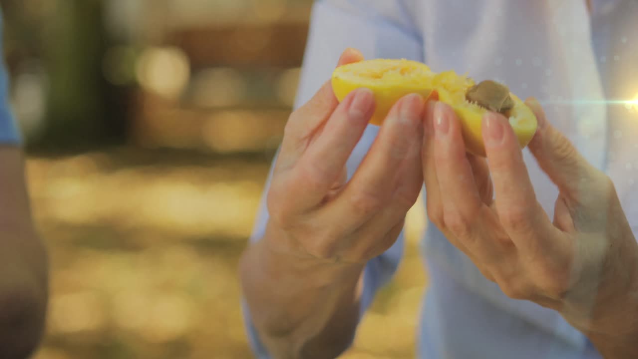 animación de puntos de luz sobre la familia caucásica preparando ciruelas