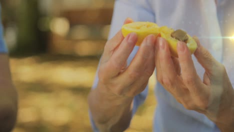 animación de puntos de luz sobre la familia caucásica preparando ciruelas