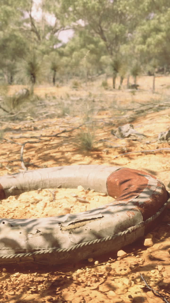 Abandoned life preserver rests on dry ground under a sunlit tree
