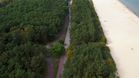 Aerial-view-of-a-serene-forested-path-alongside-a-pristine-sandy-beach