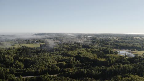 Flying-over-the-Forest