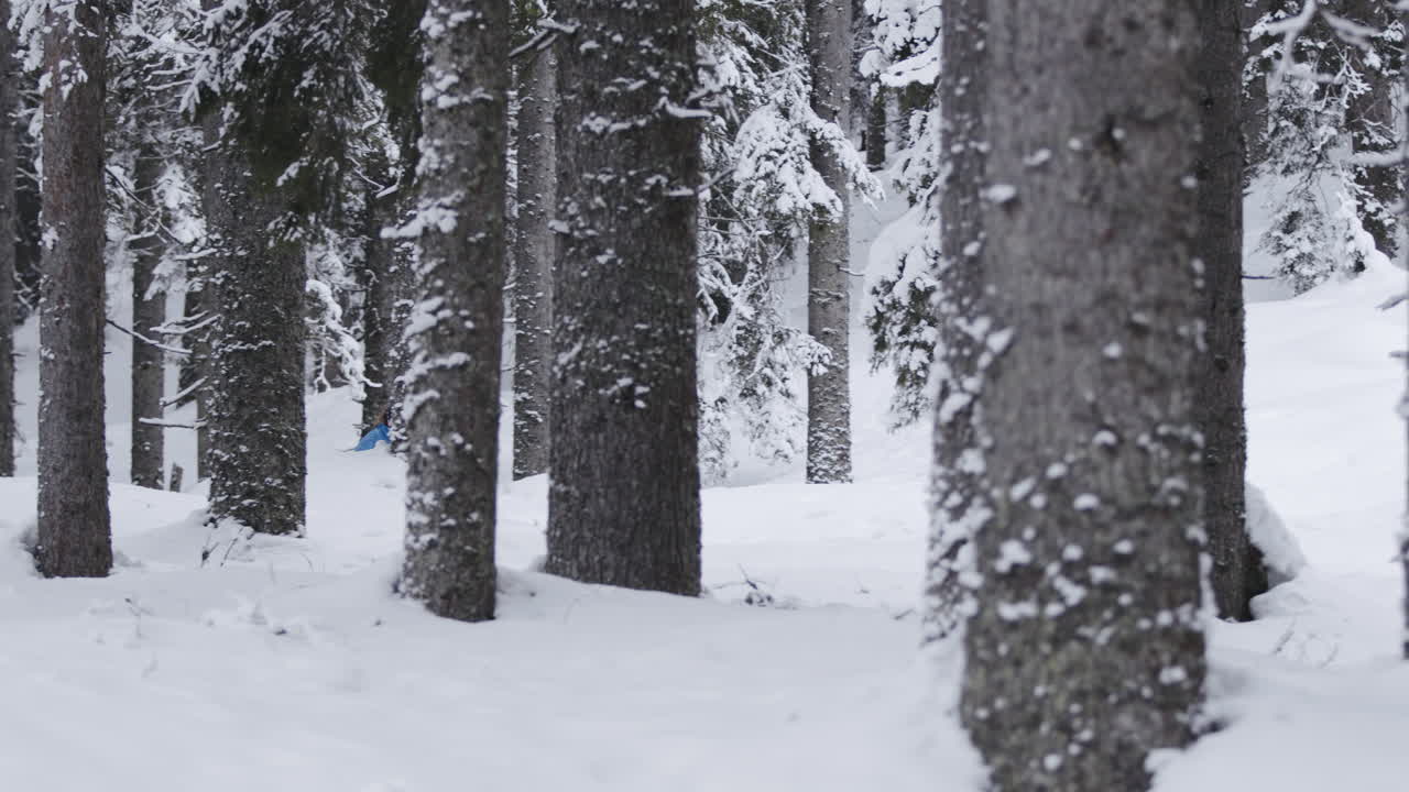 Woman Cross-Country Skiing in Snowy Forest