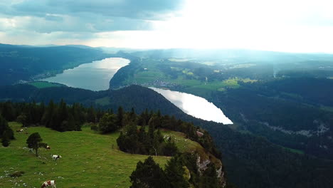 Aerial-Shot-Drone-Cows-on-Mountain-Beautiful-view-to-Lucerne-lake-,-mountain-Rigi-and-Buergerstock-from-Pilatus,-Swiss-Alps,-Central-Switzerland