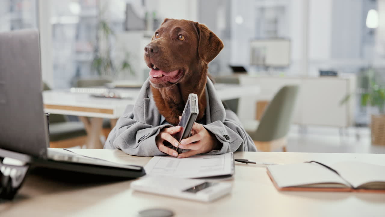 Dog in a business suit using a smartphone in the office