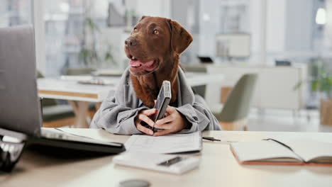dog in a business suit using a smartphone in the office