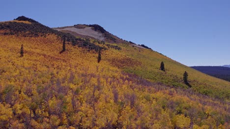 fall colors at sage hen summit in mono county, california - aerial drone shot pulling back to reveal fall colors in the eastern sierra
