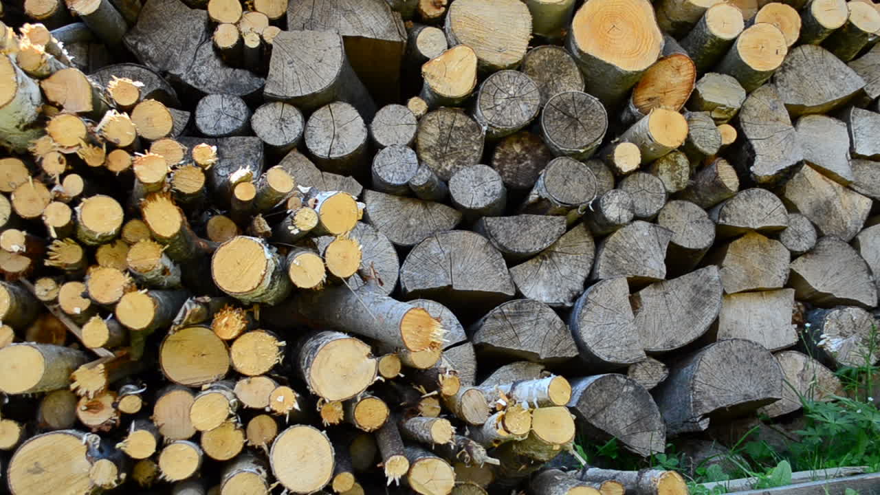 Firewood in the yard. Shooting in the village