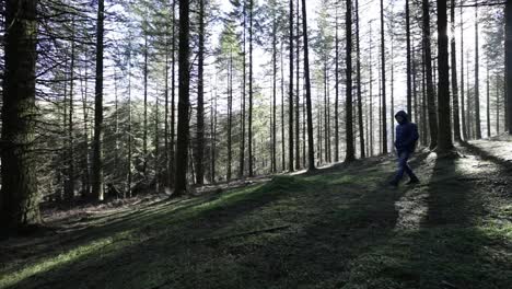 Man-walking-on-the-cold-morning-through-the-forest