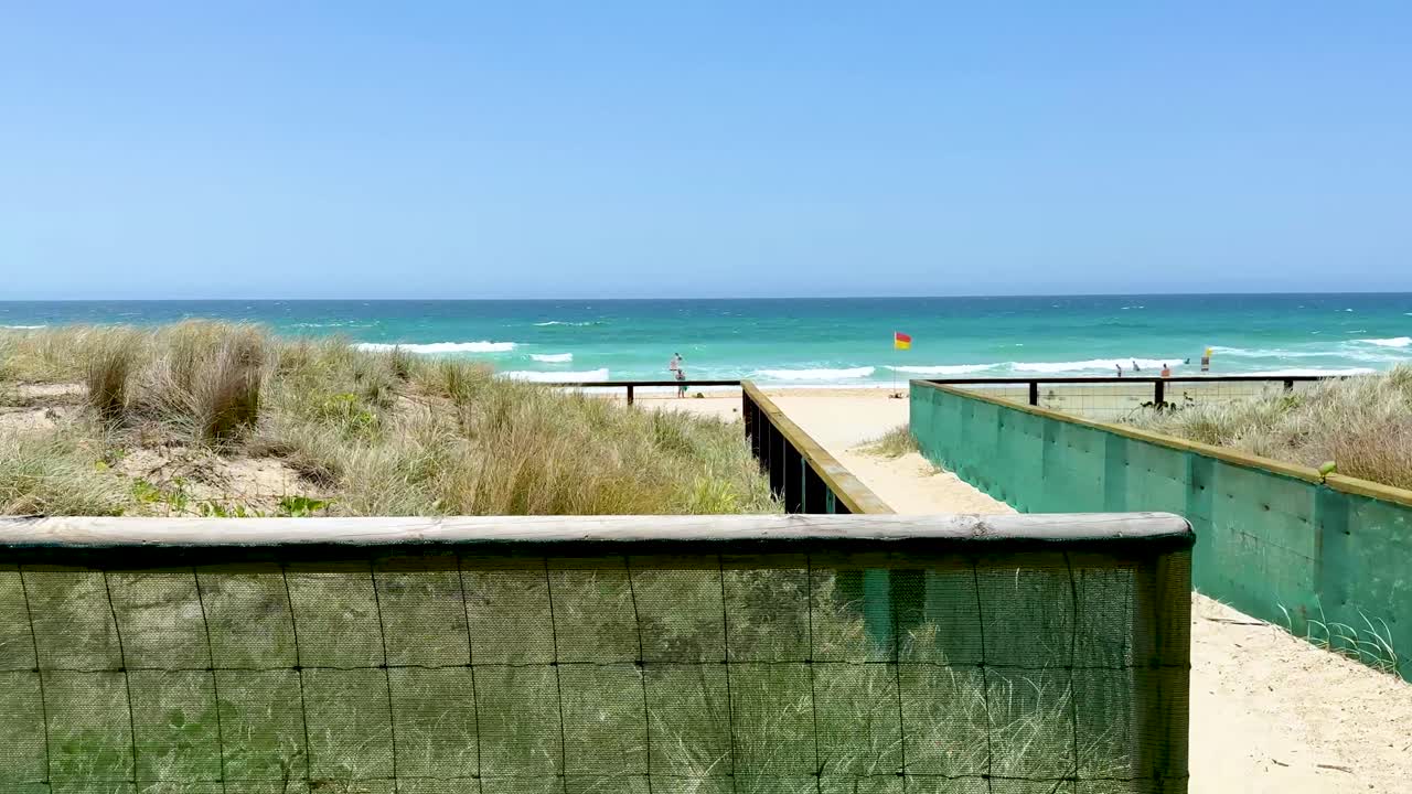 활기찬 해변 풍경으로 이어지는 길