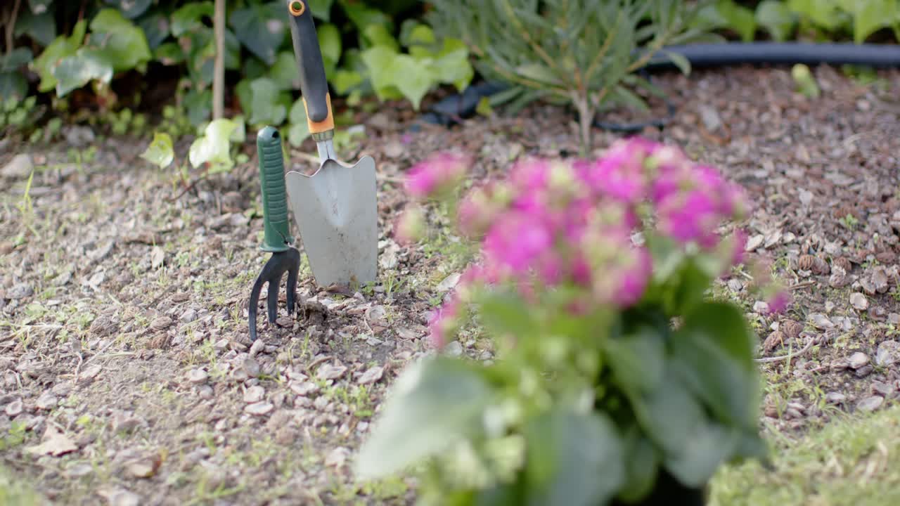 Kameran skiftar fokus från rosa blommor till trädgårdsredskap i metall och visar upp utrustningen.