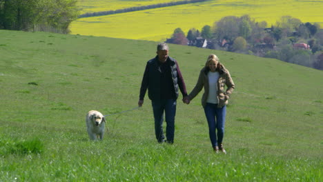 mature couple taking golden retriever for walk shot on r3d