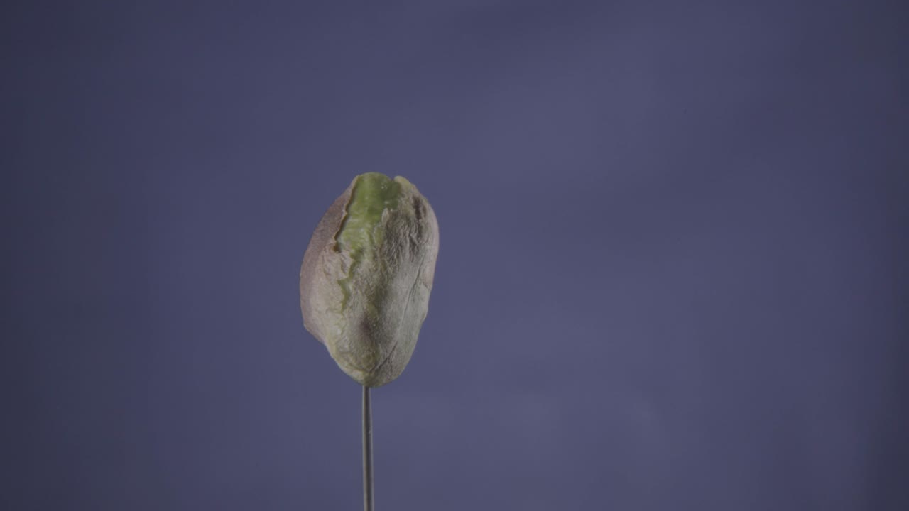 pistacho girando con bucle en la pantalla azul para la llave de croma