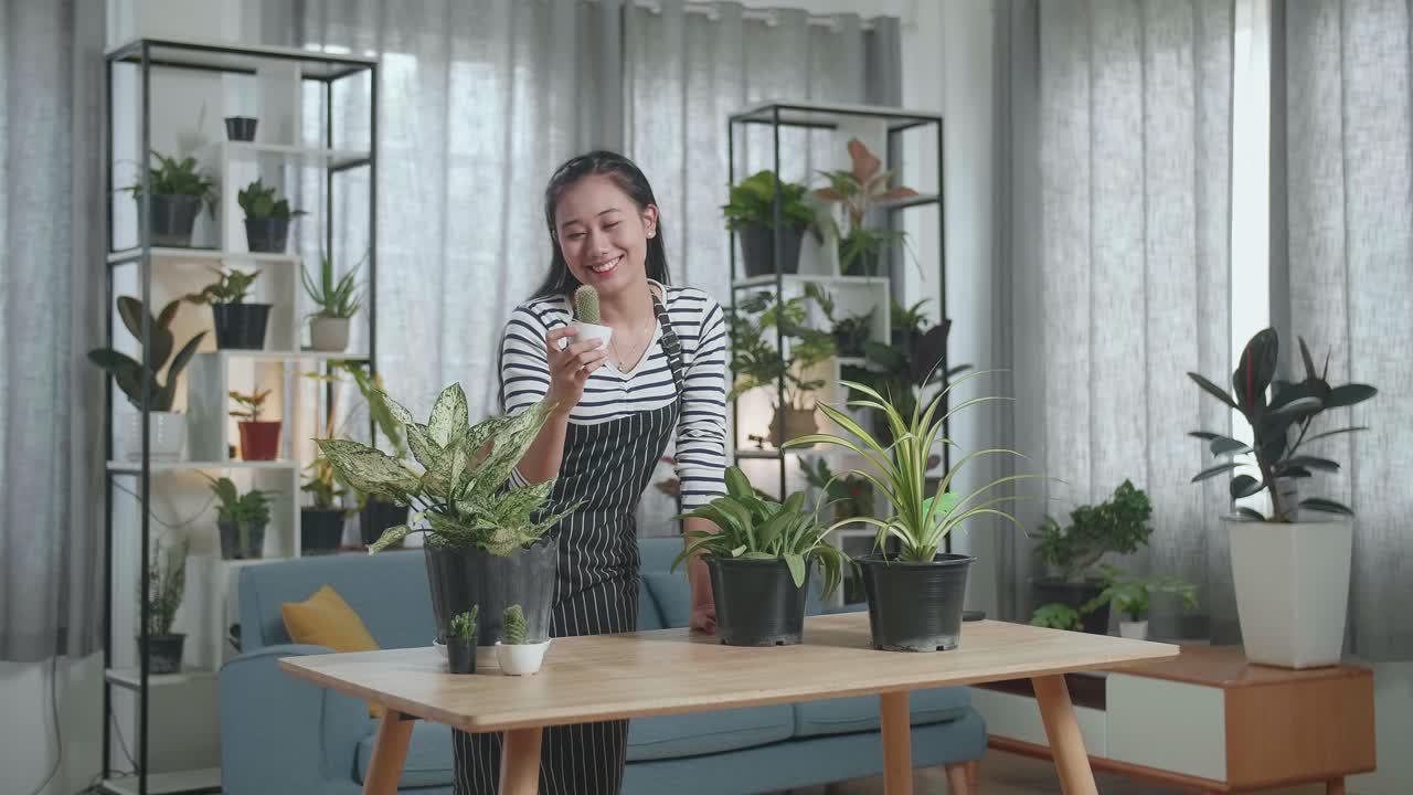 웃는 아시아 여성이 손에 투스 식물을 보고 머리를 흔들고 있습니다.