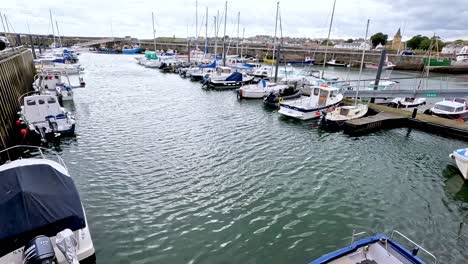 boats docked in a calm harbor