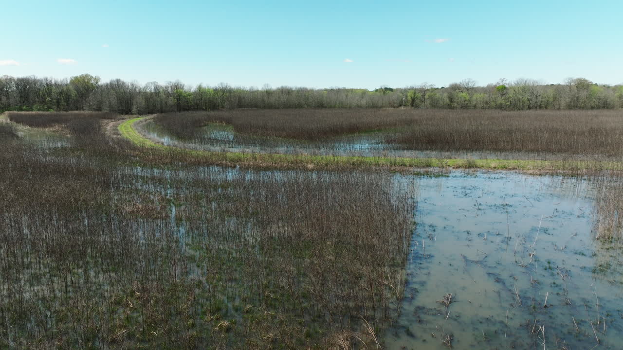 Woodland And Wetlands At Bell Slough Wildlife Management Area Near Mayflower In Arkansas