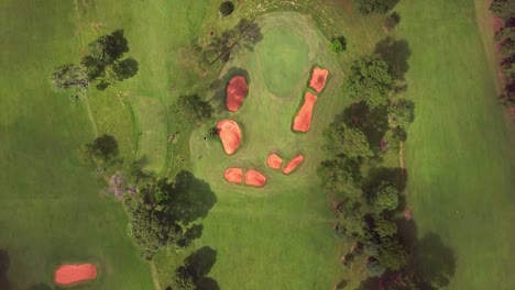 jugadores de golf en el green