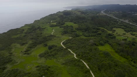 clifftop landscape aerial over asturias lush coastal trail vegetation