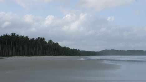 slow motion shot of wide and long sandy beach with tall palm trees and cloudy sky in asia