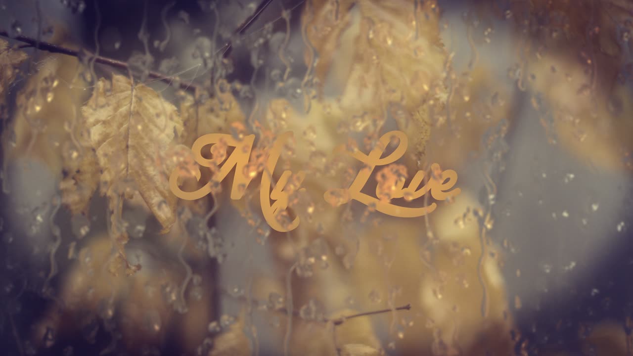 검은색 배경에 비가 떨어지면, 배경은 첨부와 같은 혼합 모드를 사용하여 제거 할 수 있습니다. 주식 비디오 usa, 물, 비, 방울, 유리 - 재료