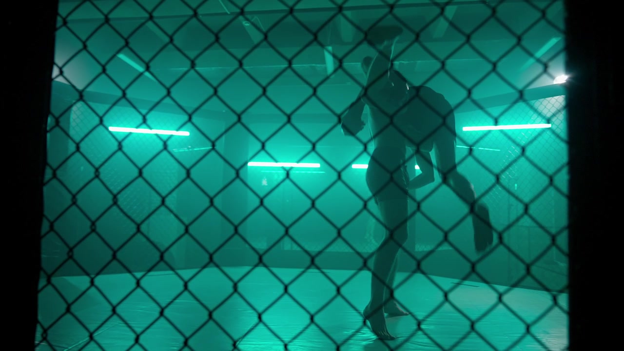Silhouettes of Two Fighters Grappling in an MMA Cage with Green Lights