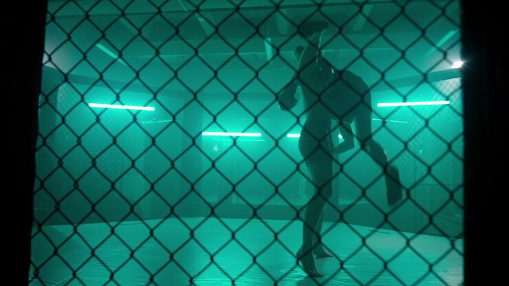 Sagome di due lottatori che si affrontano in una gabbia MMA con luci verdi