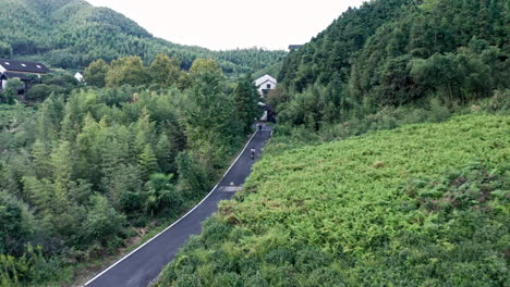 Toma-Aérea-De-Una-Persona-Conduciendo-Una-Moto-Por-Una-Carretera-En-Un-Bosque-De-Bambú