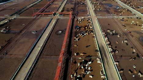 aerial footage of cattle ranching in the borderlands of texas-chihuahua