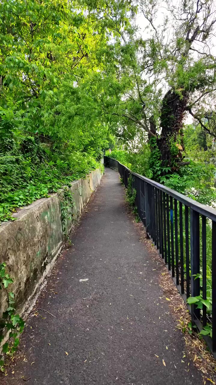 First-person walking view along a narrow riverside footpath with railings and overhanging trees, showcasing a peaceful green corridor in Timisoara.
