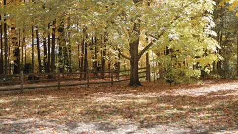 hermosa escena otoñal en medio de una granja en gatineau quebec