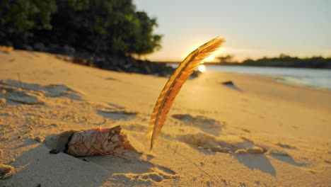 humo saliendo de la quema de salvia con plumas en la arena de la playa al atardecer - kit de manchas
