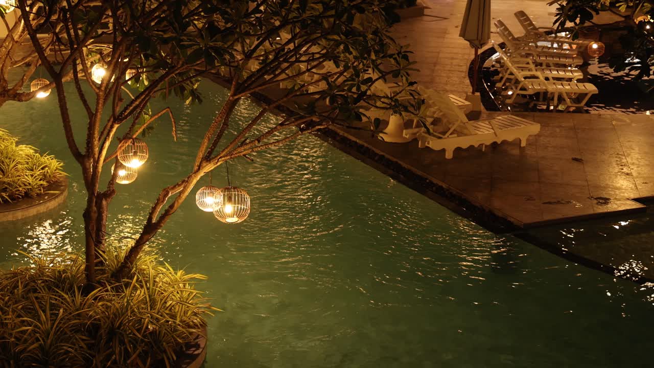 밤에 운하에 있는 나무와 불빛