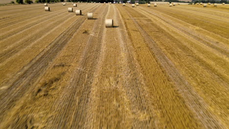 Weizen-Heuhaufen-Gold-Landwirtschaft-Antenne