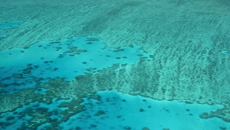 queensland coral reef, australia