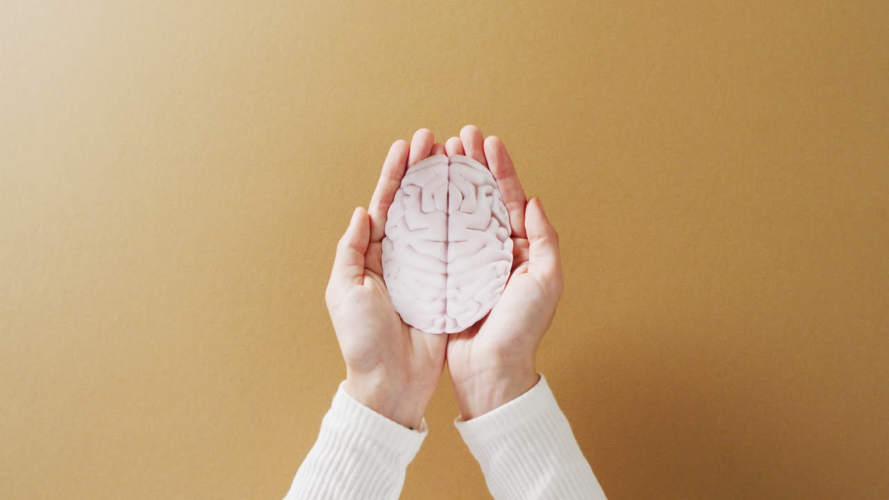 복사 공간과 함께 갈색 배경에 뇌를 들고 있는 손의 비디오