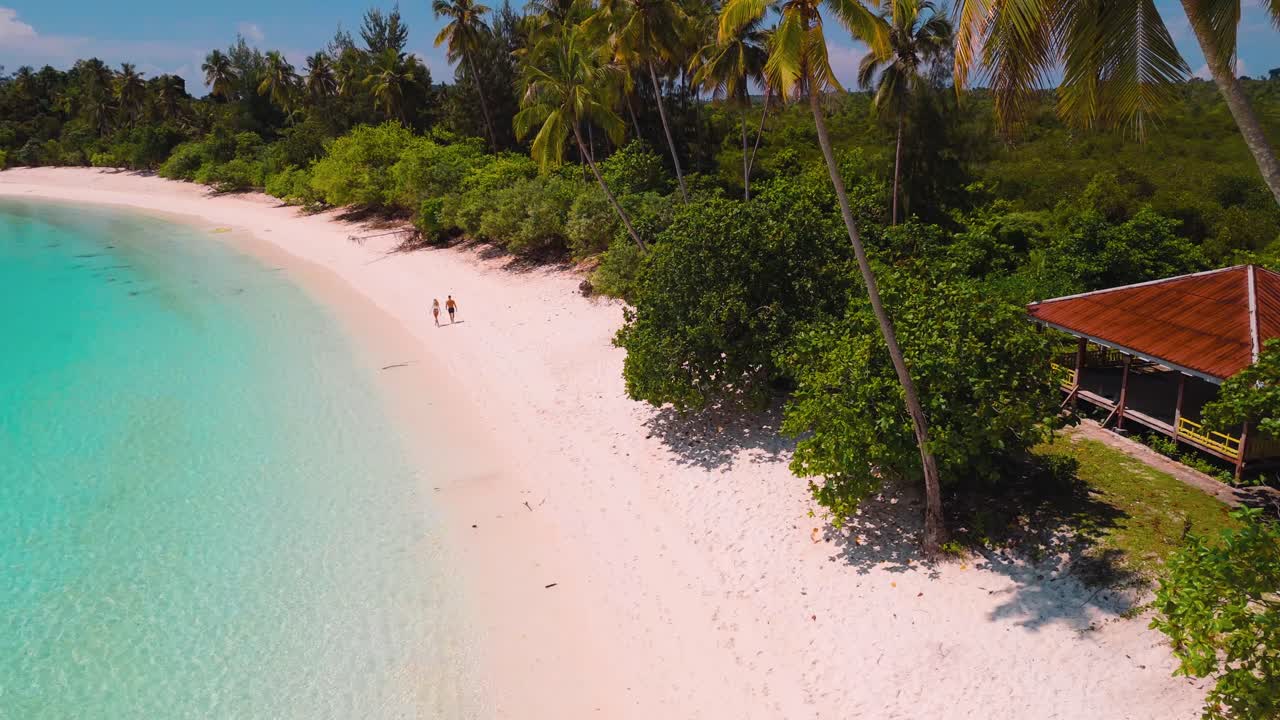 palm trees on a white sand beach in Banggai Islands, Sulawesi
